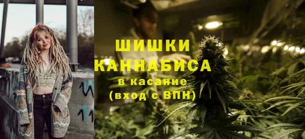 твердый Верхний Тагил