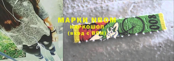 твердый Верхний Тагил
