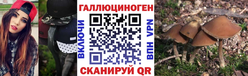 Псилоцибиновые грибы мухоморы  купить   Славянск-на-Кубани 